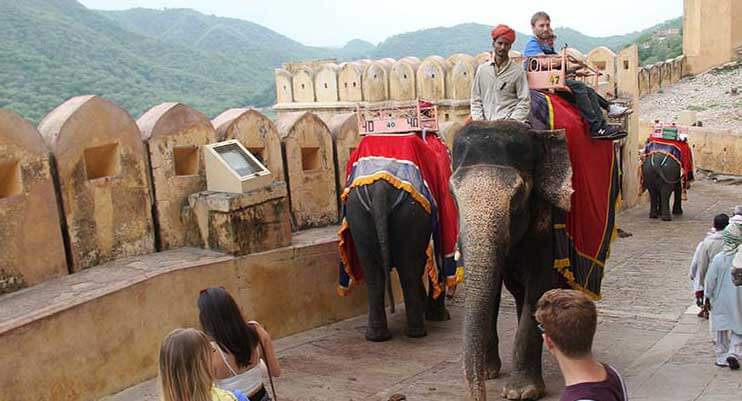 Elephant Ride in Rajasthan